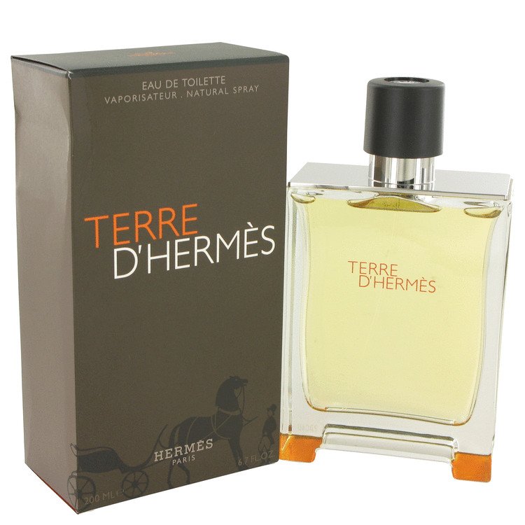 Terre DHermes by Hermes Eau De Toilette Spray 6.7 oz